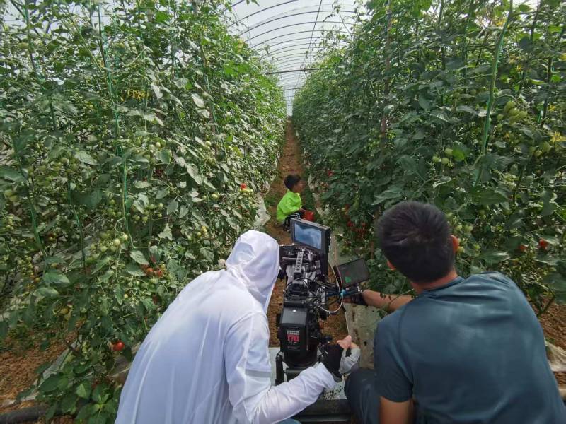 汕尾产品宣传视频拍摄公司进阶指南，助力品牌抢占传播高地